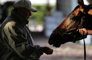 Illustration for article titled How Big Brown's People Nearly Pulled Off Horse Racing's Biggest Scam
